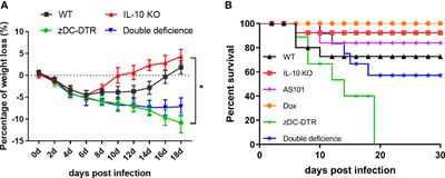 IL-10−/− Enhances DCs Immunity Against Chlamydia psittaci Infection via OX40L/NLRP3 and IDO/Treg Pathways